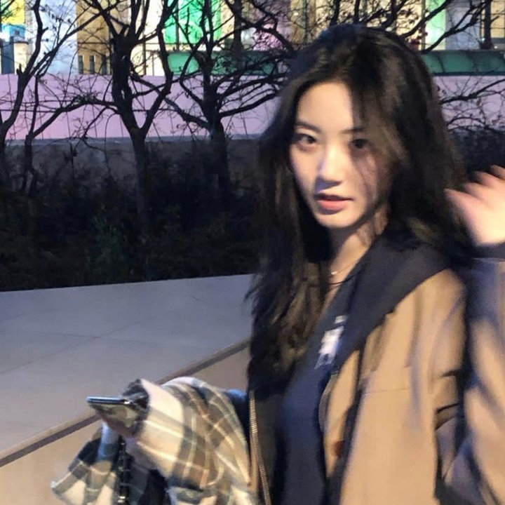 兔子的月亮